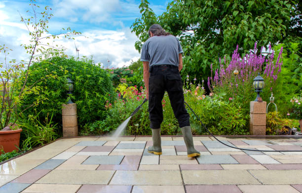 Animal Enclosure Cleaning in Champion Heights, OH